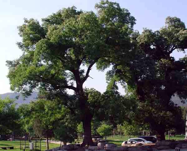 1660045040308523.jpeg 1660045040308523.jpeg