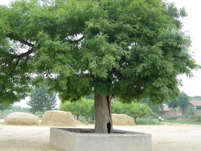 1660045059418857.jpeg 1660045059418857.jpeg