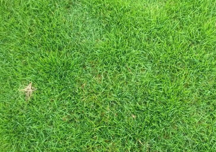 1660051435137815.jpg 1.jpg