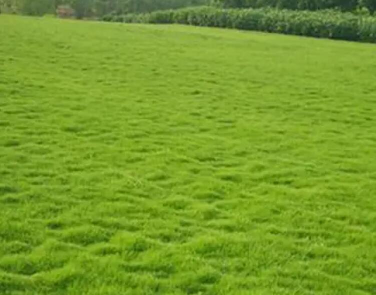 1660051446611293.jpg 2.jpg