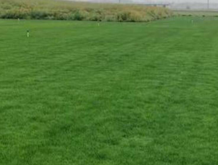 1660051496996959.jpg 3.jpg