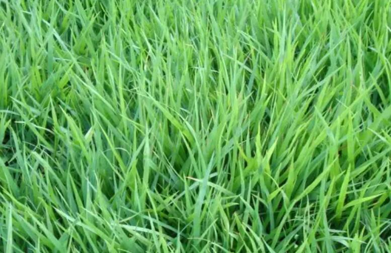 1660308887197331.jpg 1.jpg