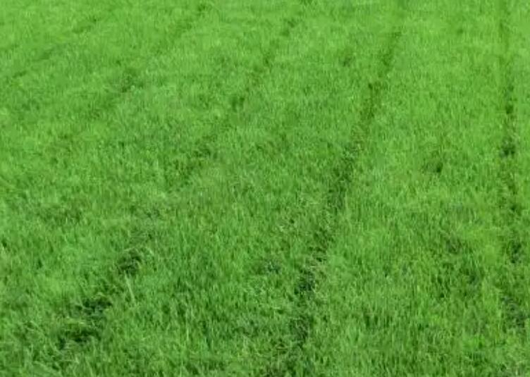 1660308897673358.jpg 2.jpg