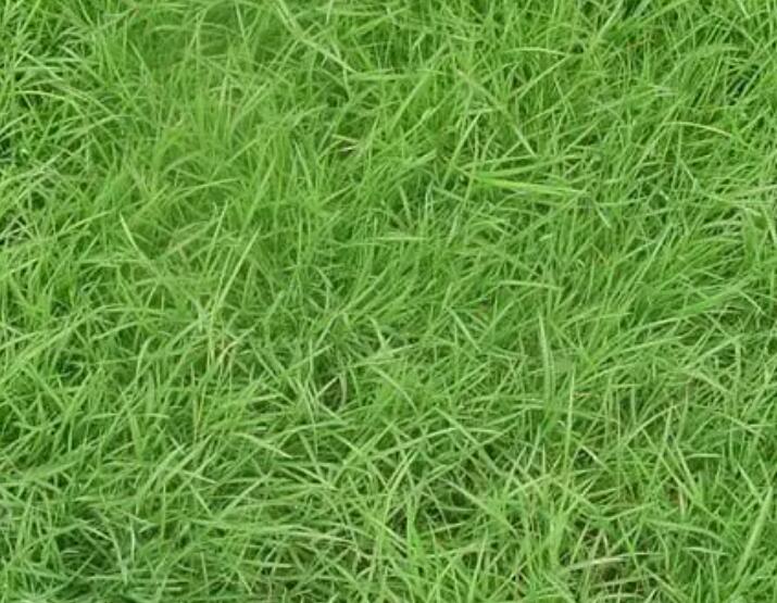 1660308905387391.jpg 3.jpg