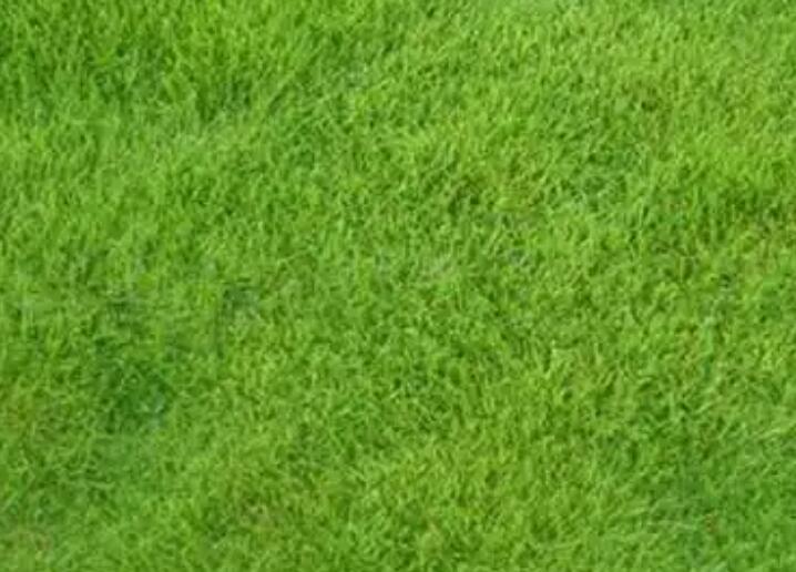 1660309833278851.jpg 1.jpg