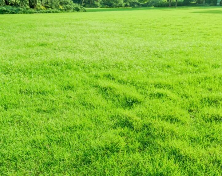 1660309840201999.jpg 2.jpg