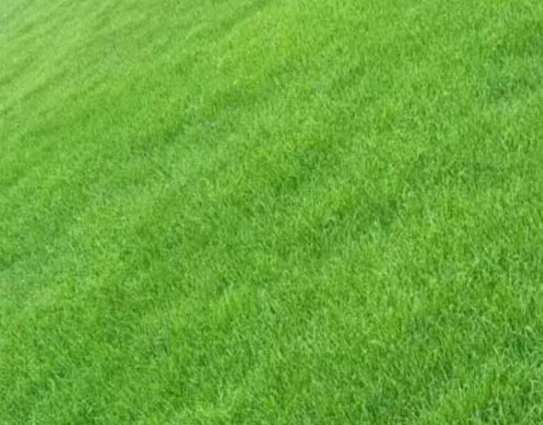 1660309847478469.jpg 3.jpg