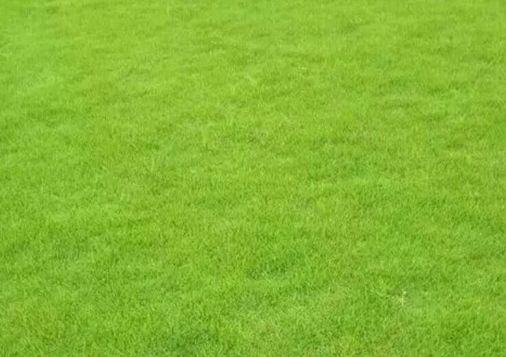 1660311081220701.jpg 1.jpg