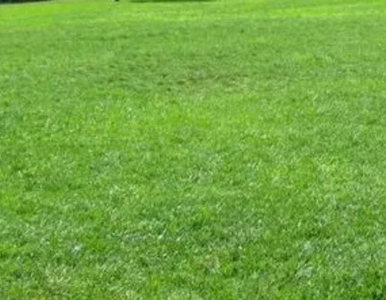 1660311092663760.jpg 2.jpg