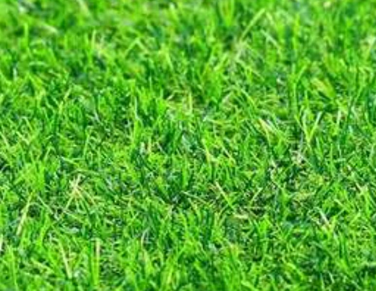 1660311100817067.jpg 3.jpg