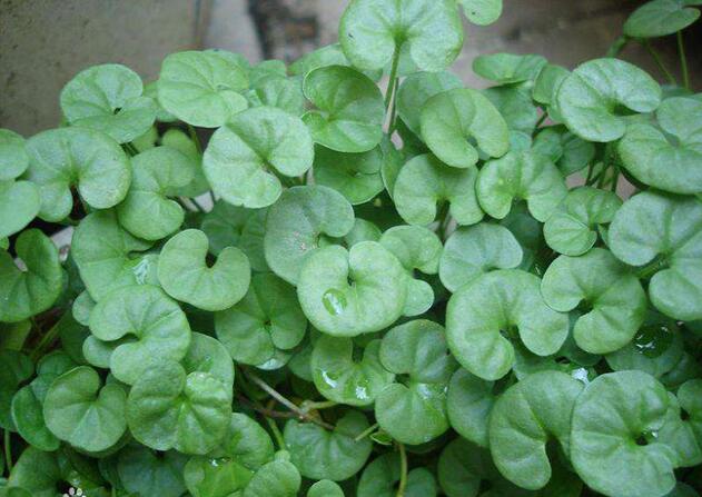 1660631220593531.jpg 1660631220593531.jpg