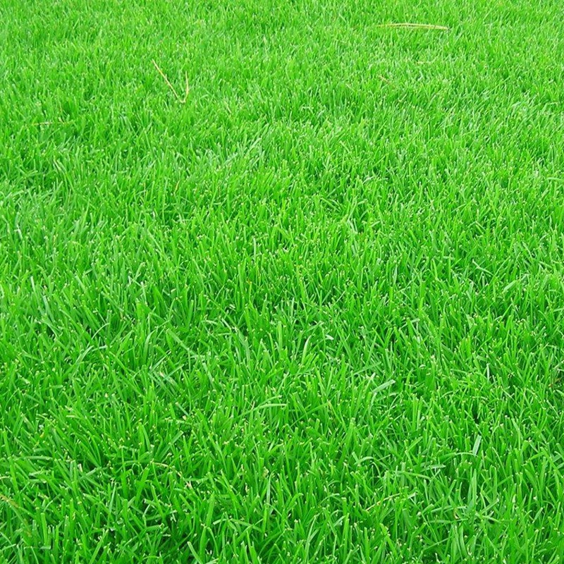 1660705797326373.jpg 1.jpg