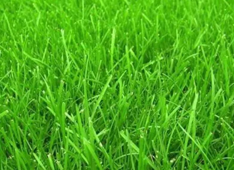 1660832617726288.jpg 3.jpg