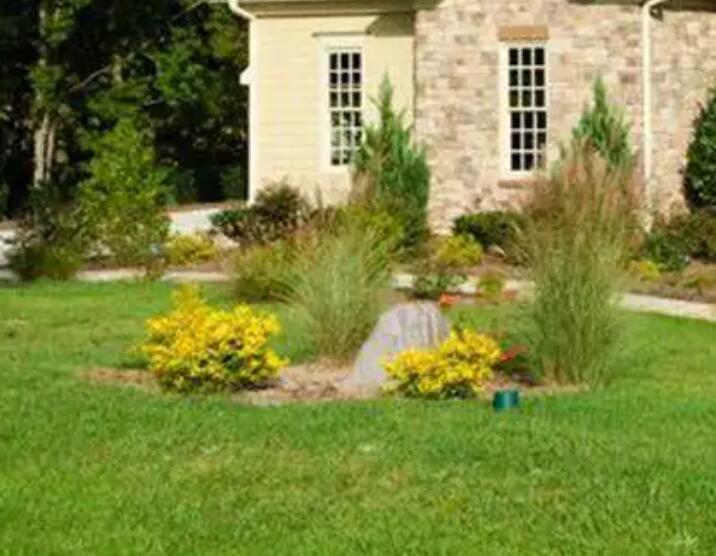 1660920425946691.jpg 3.jpg