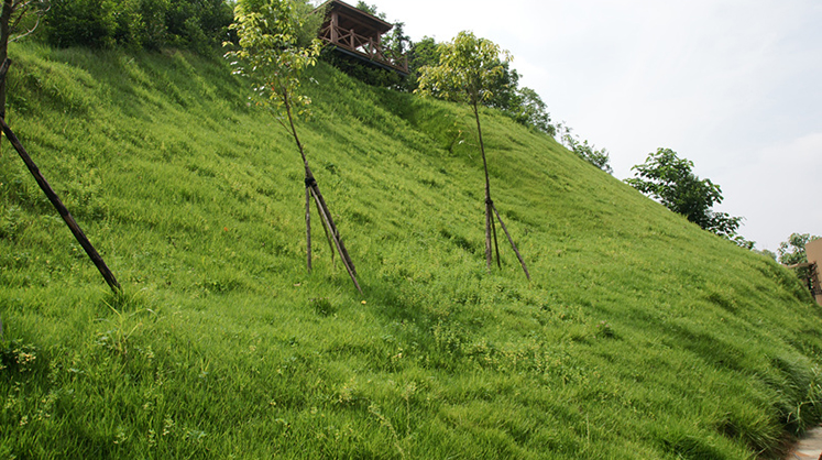 1661083725708143.jpeg 1661083725708143.jpeg