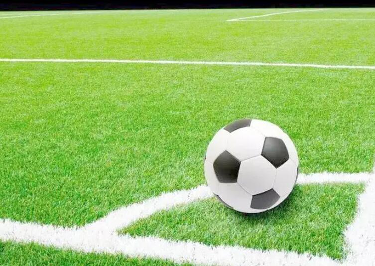 1661348542354879.jpg 3.jpg