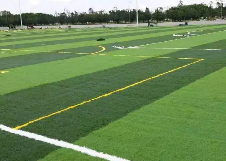 1661349558975665.jpg 33.jpg