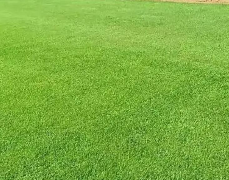 1661437011500021.jpg 阿布22222.jpg