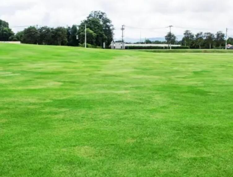 1661437021998120.jpg 果嶺操2.jpg