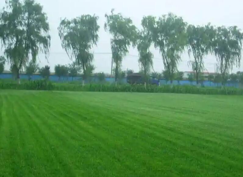 1661438161329017.jpg 阿布.jpg