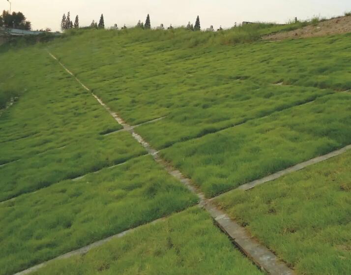 1661438249409557.jpg 2.jpg