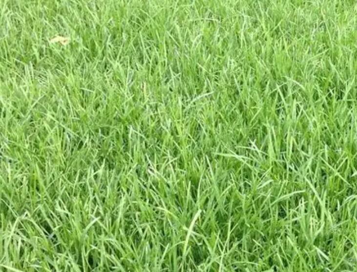 1661439446504922.jpg 000000.jpg