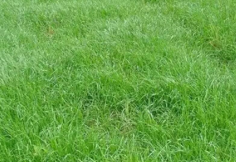 1661524207236708.jpg 2.jpg