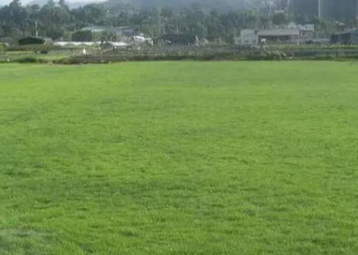 1661524301507447.jpg 3.jpg