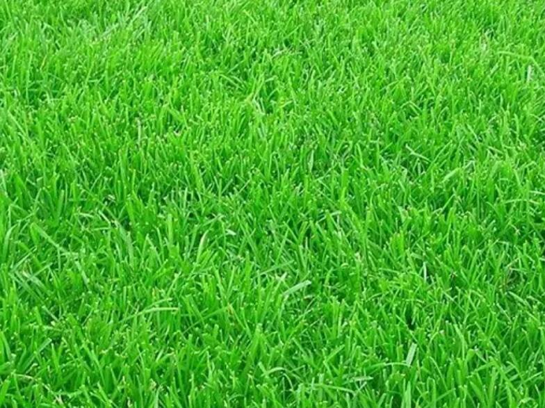 1661605440240643.jpg 99999999.jpg