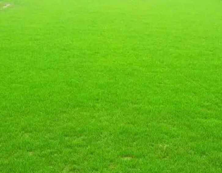 1661606543406219.jpg 阿布111.jpg