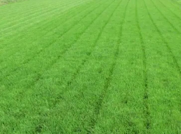 1661606962931033.jpg 8888.jpg