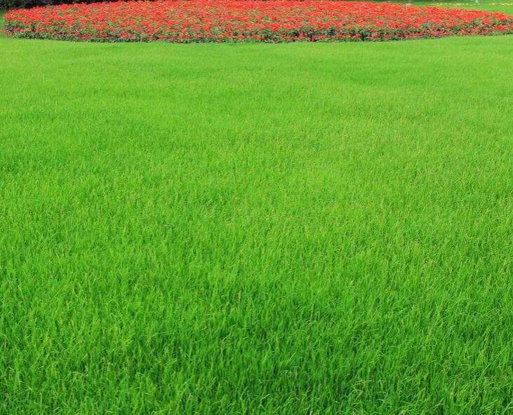 1661607076673841.jpg 99999999999999999.jpg