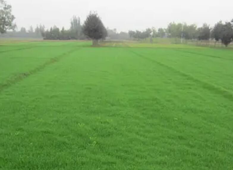 1661607112842391.jpg 8888888888888888888888888.jpg