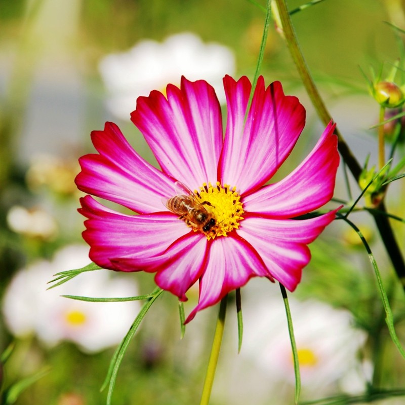 格?；?/></p><p style=