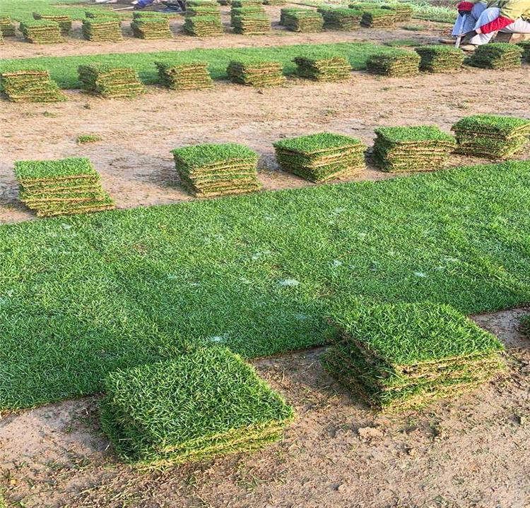 1669470105464196.jpg 1669470105464196.jpg