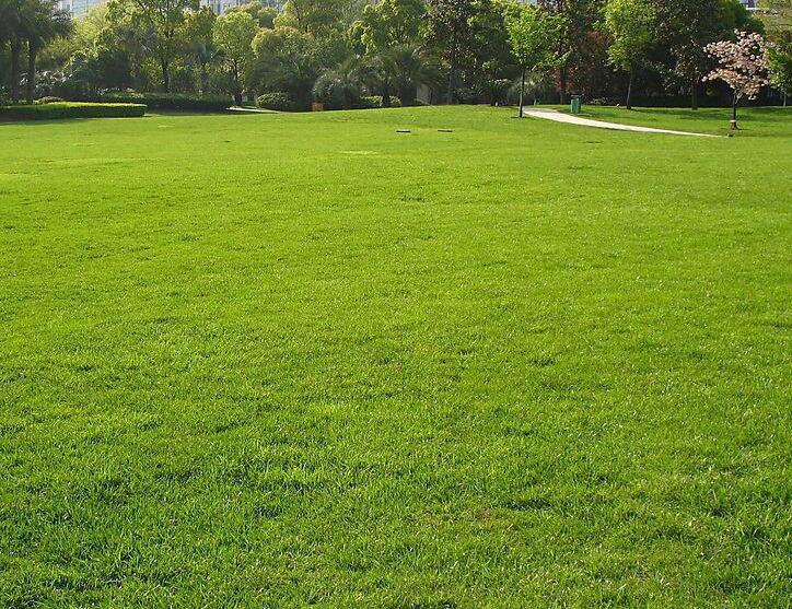 1671071527752943.jpg 1671071527752943.jpg