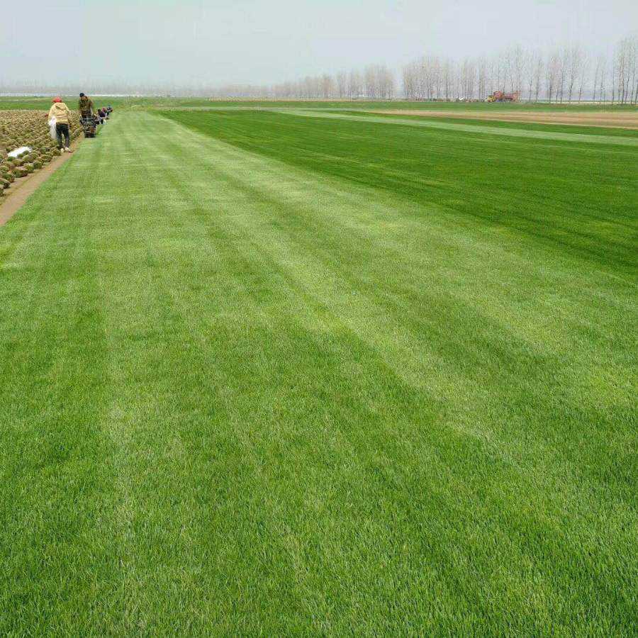 1671582053315570.jpg 1671582053315570.jpg