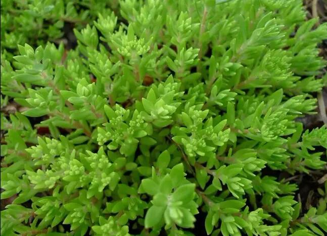 1671666080336699.jpg 1671666080336699.jpg