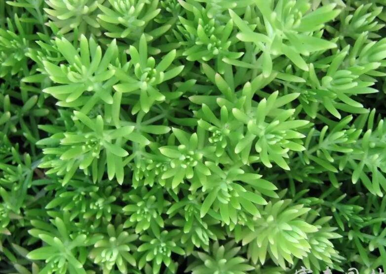 1671666080470970.jpg 1671666080470970.jpg