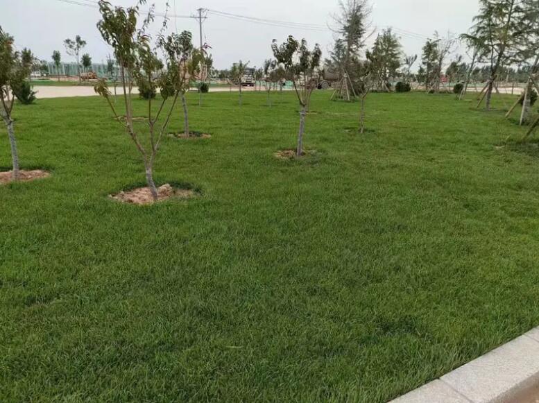 1671667870281329.jpg 1671667870281329.jpg