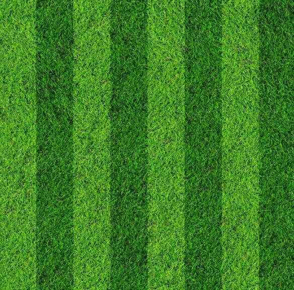 1671669089812959.jpg 1671669089812959.jpg