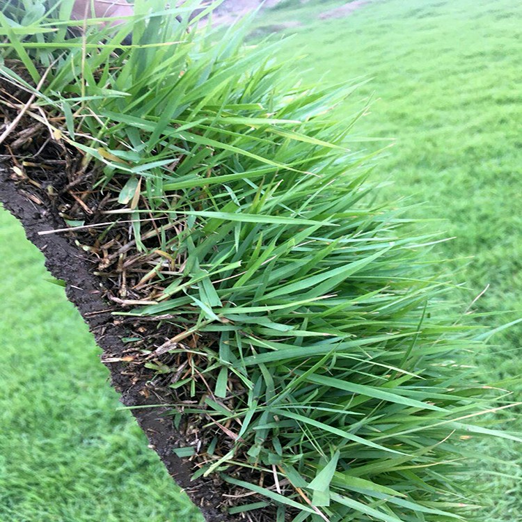 1671672181777490.jpg 1671672181777490.jpg