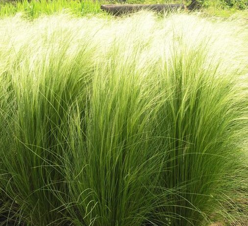 1678359041882443.jpeg 1678359041882443.jpeg