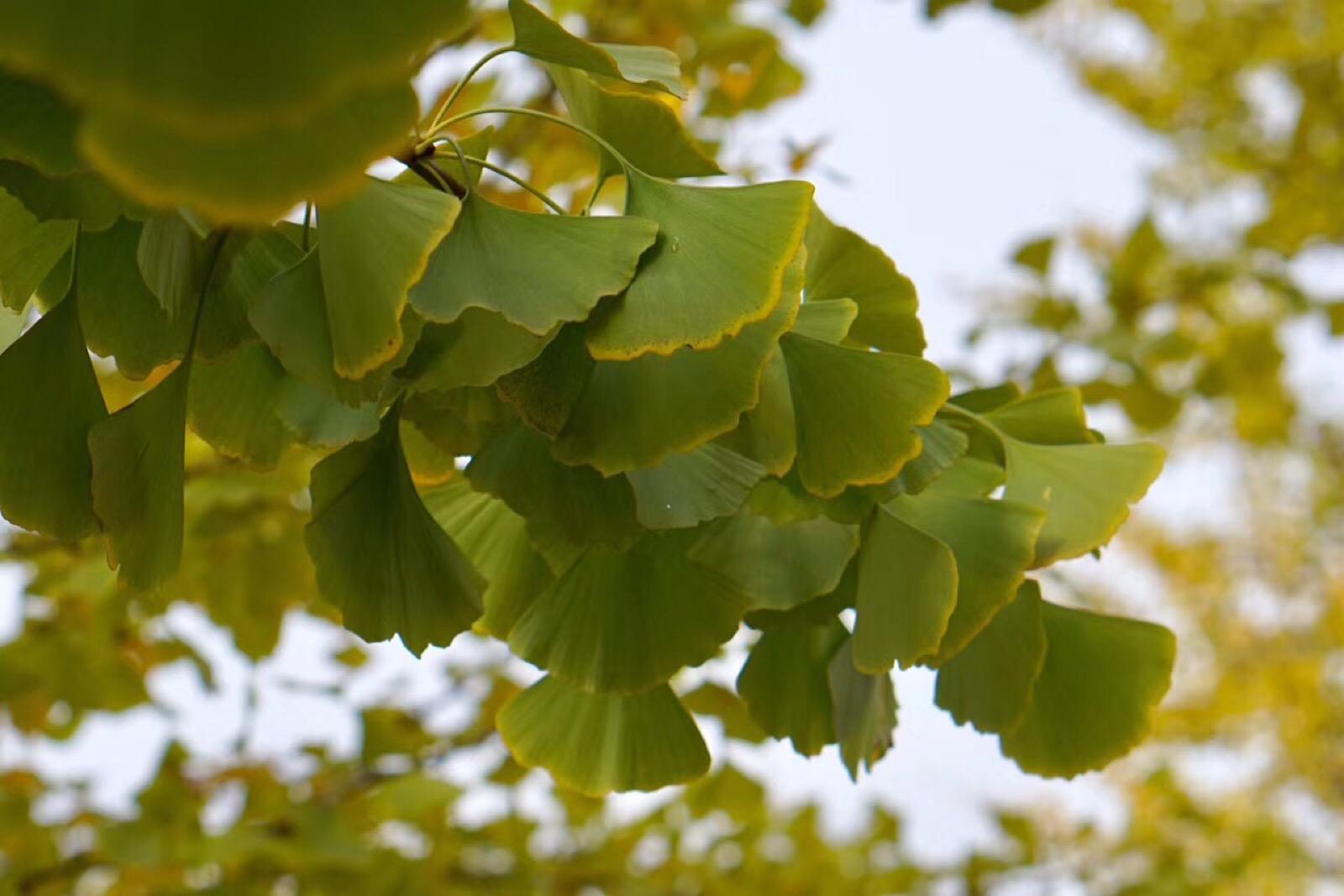 1678429216366423.jpeg 1678429216366423.jpeg