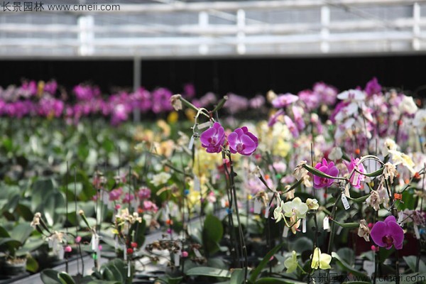 è??è????°?§???????è???°?è???????? è??è????°?§???????è???°?è????????