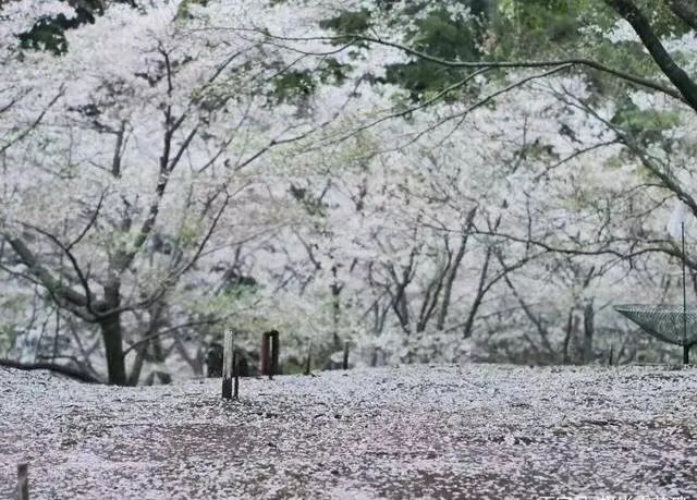 1678444889130897.jpg 1678444889130897.jpg